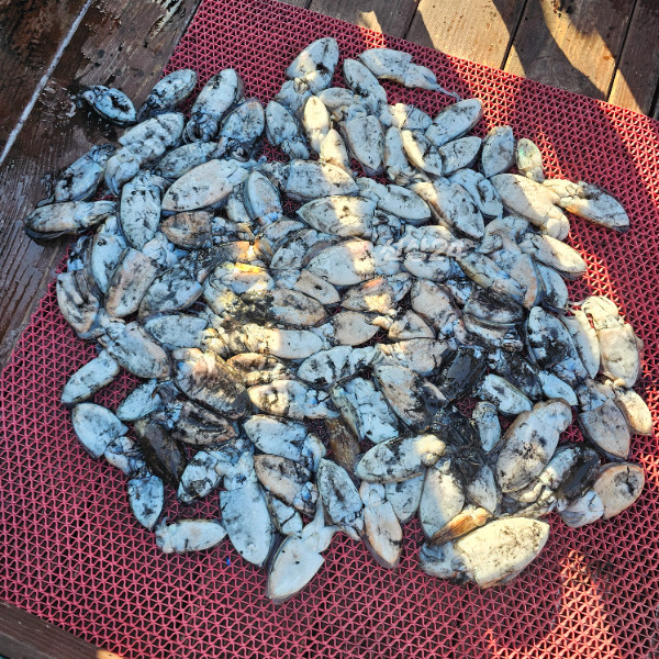 1000061402.jpg