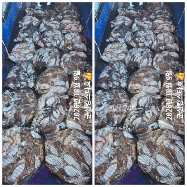 BandPhoto_2026_10_09_19_53_07_14.jpg