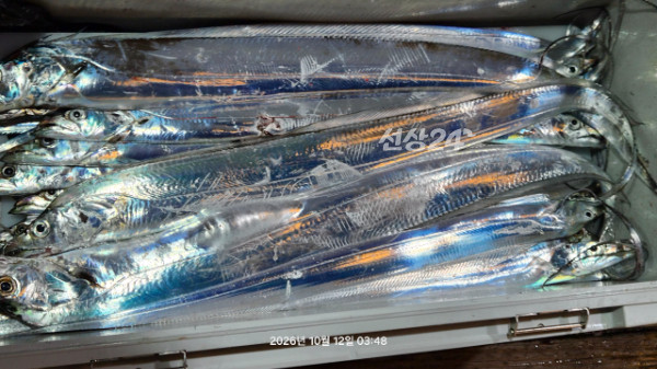 1004피싱_사진_20261012_1.jpg
