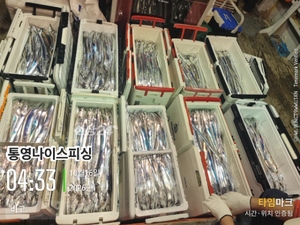 20261016_043318_글꼴-통영나이스피싱.jpg