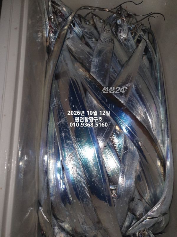 KakaoTalk_20261012_134836822_04.jpg