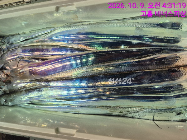 1000056821.jpg