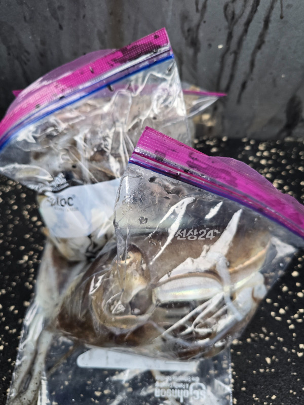 Resized_20261003_171643.jpeg