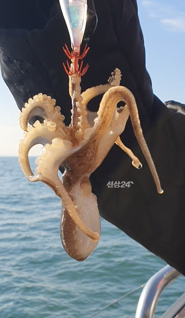 Screenshot_20261020_104946_Video Player.jpg
