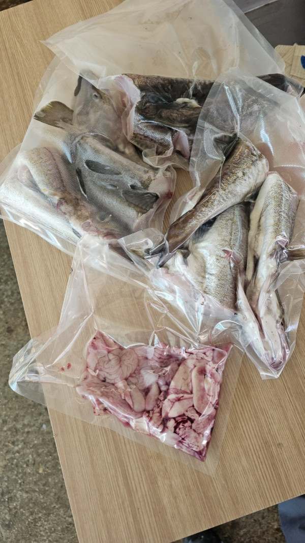공현진낚시마트(돌핀호)_사진_20261009_14.jpeg