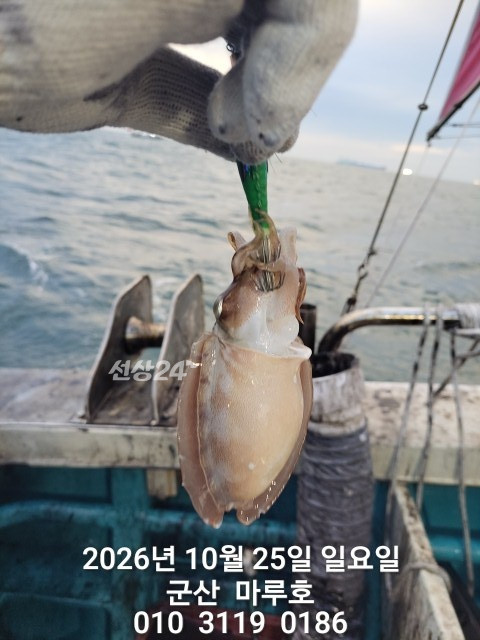 KakaoTalk_20261025_163308652_03.jpg