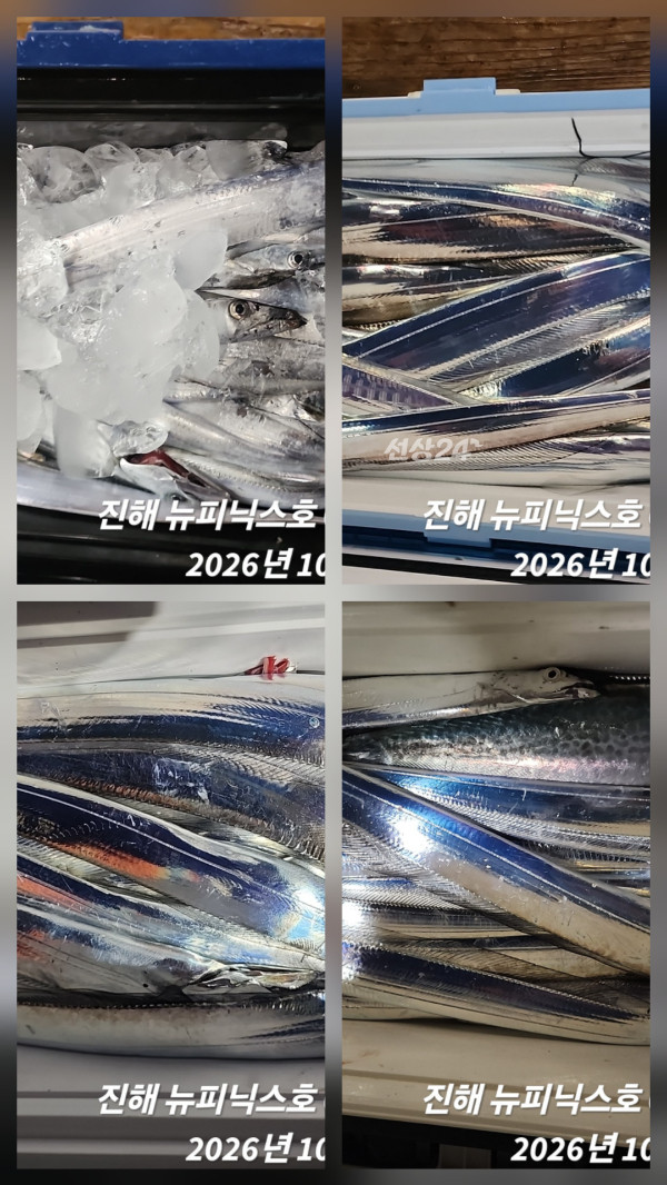 1000102040.jpg