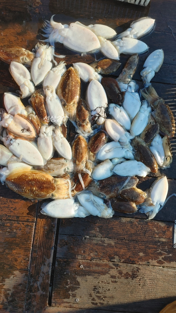 1000031516.jpg