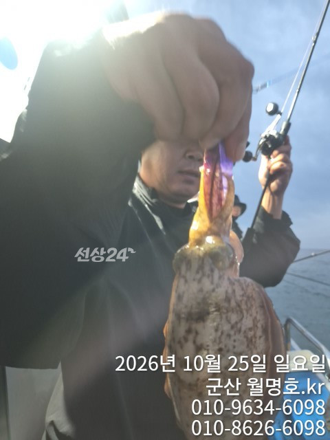 20456.jpg