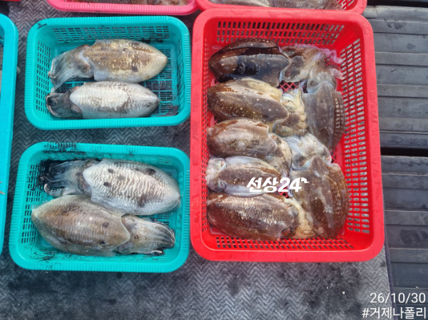 KakaoTalk_20261030_191917462_01.jpg