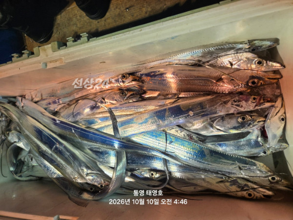 KakaoTalk_20261010_051911490_03.jpg