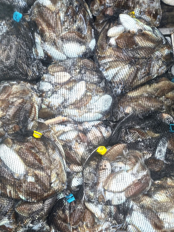 13 (1)_b.jpg