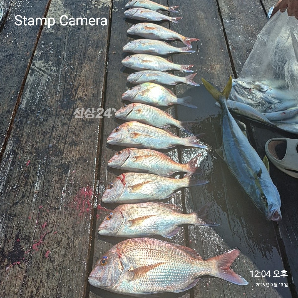 StampCamera20260913120427.jpg