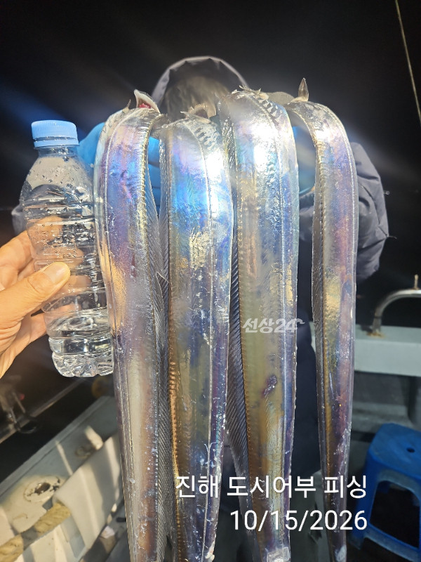 KakaoTalk_20261015_050642444_07.jpg