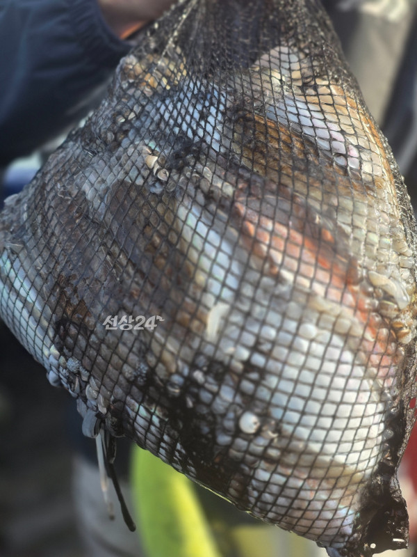 20261023_160853(1).jpg