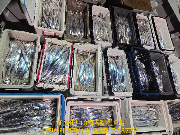 1000106684.jpg