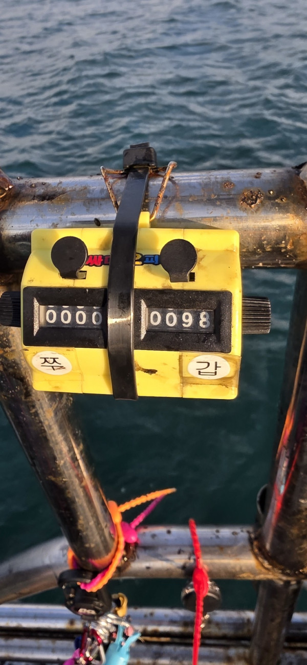 1791105508249.jpg
