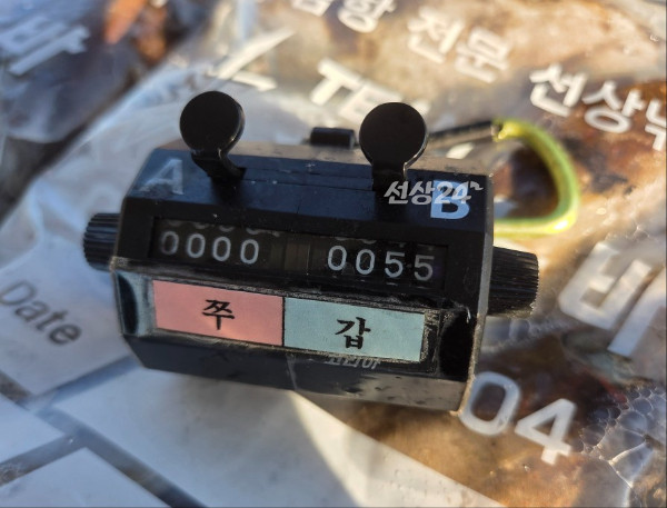 24566.jpg