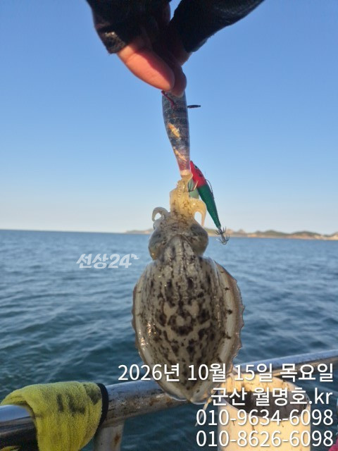 19042.jpg