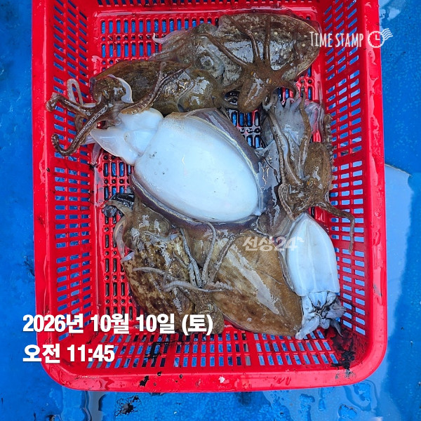 KakaoTalk_20261010_132841901_03.jpg