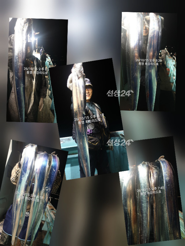 KakaoTalk_20261016_114521200_14.jpg