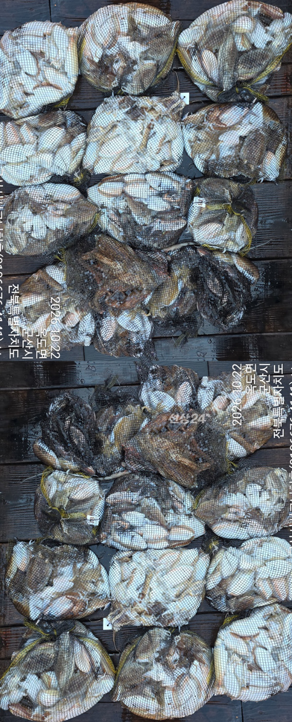 KakaoTalk_20261022_180526830_03 - 복사본-vert1111111111.jpg