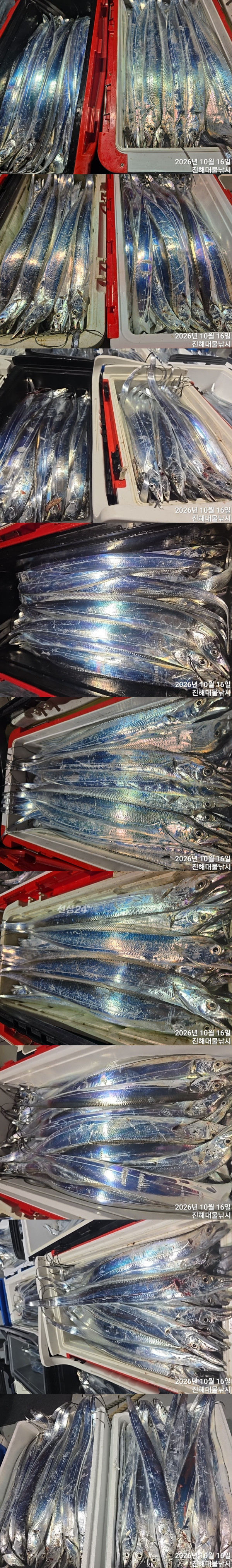 칼치4.jpg