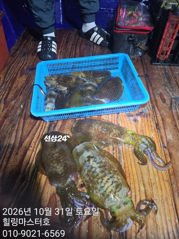 KakaoTalk_20261031_022540524_09.jpg
