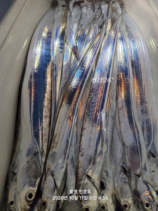 A0F12A46-A476-4F84-9099-201324B24C46.jpeg