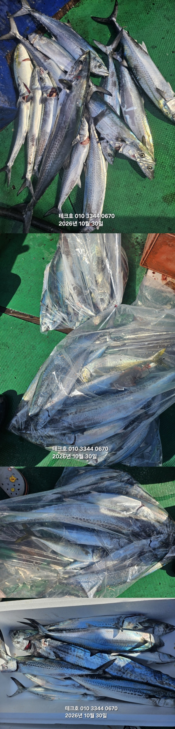 KakaoTalk_20261030_114849349-vert.jpg