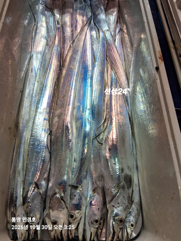 8DF777DB-B3E0-4A06-BBD2-5E31ED48CC0A.jpeg