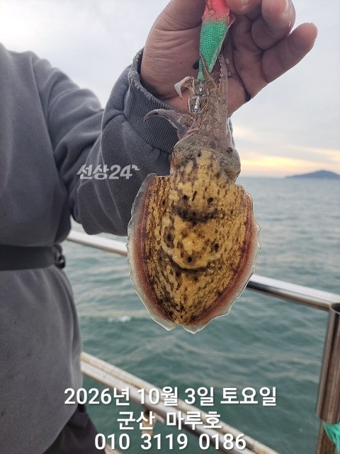 KakaoTalk_20261003_152748936_11.jpg