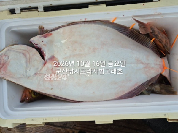 KakaoTalk_20261016_163731307_05.jpg