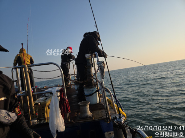 1000034261.jpg