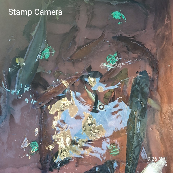StampCamera20261009092620.jpg