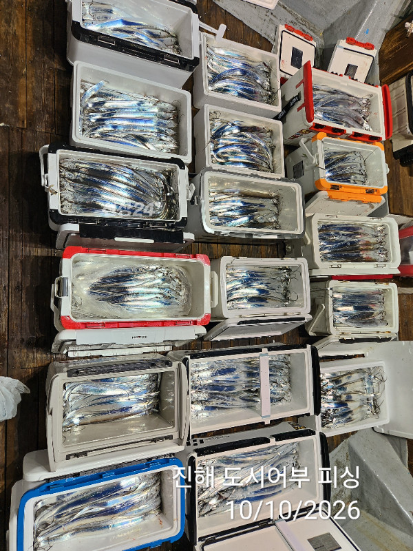 KakaoTalk_20261010_043600356_06.jpg