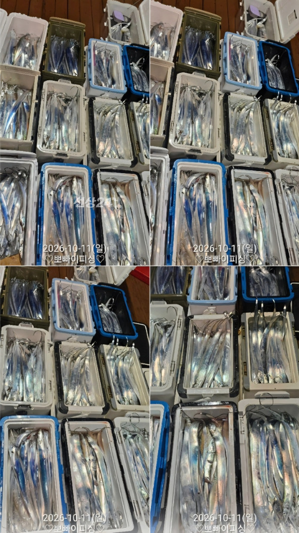 1000120637.jpg