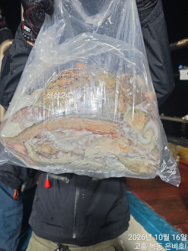 고흥 녹동 은비호!(두족류,돌돔,외수질)_사진_20261017_10.jpg