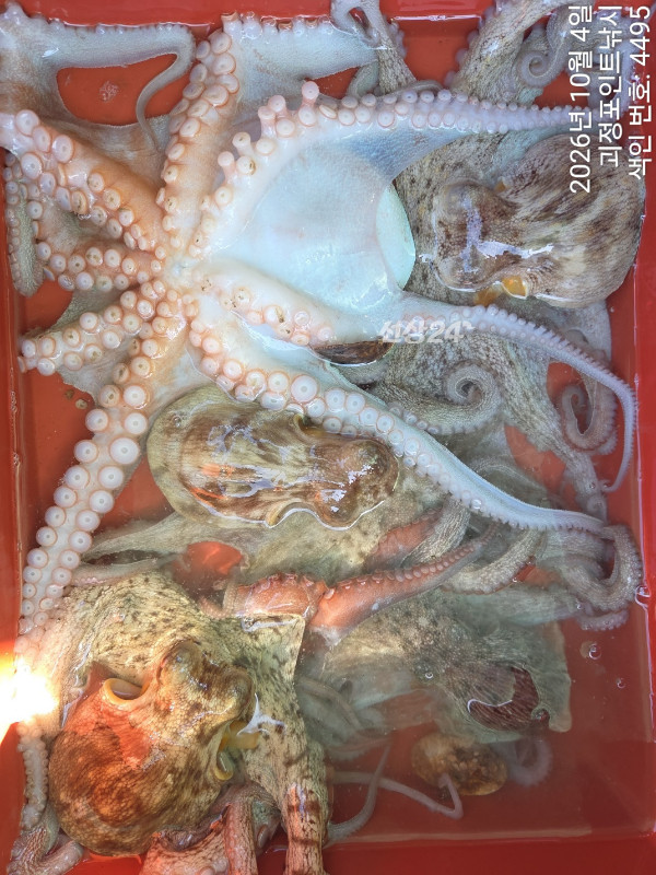 KakaoTalk_20261004_150024802_08.jpg