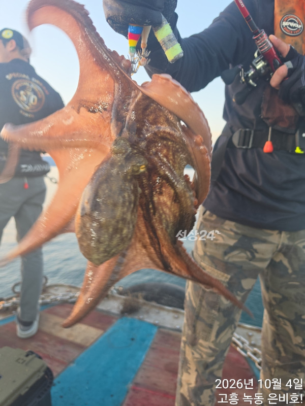 쎄븐피싱클럽(선상 버스출조전문)_사진_20261006_4.jpg