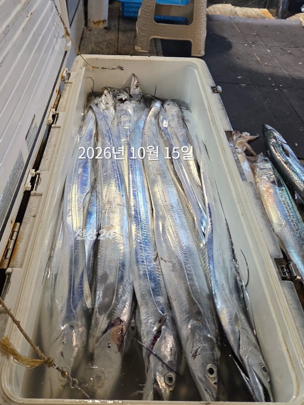 210EC481-C0F2-4154-8C8A-DACD39608F5A.jpeg