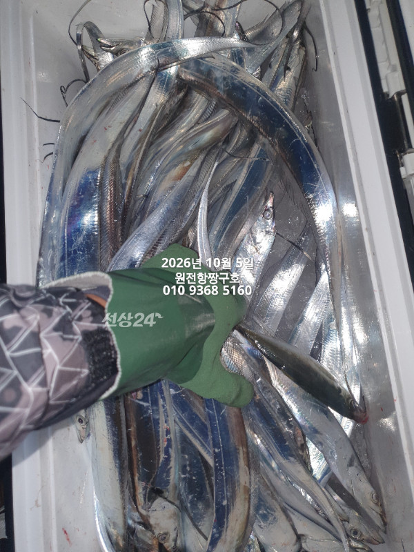 KakaoTalk_20261005_051425255_18.jpg