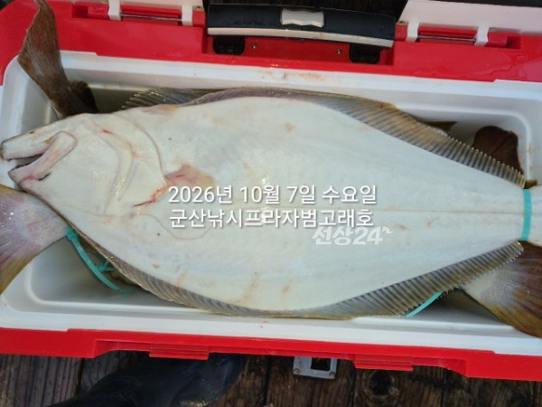 KakaoTalk_20261007_165339584_04.jpg