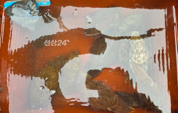 3291.jpg