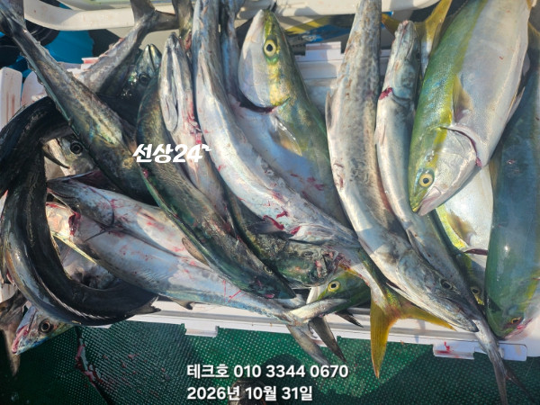 KakaoTalk_20261031_130145360_07.jpg