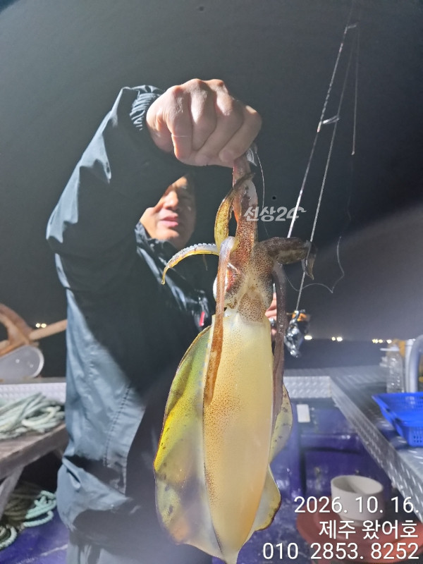 제주왔어호_사진_20261018_35.jpg