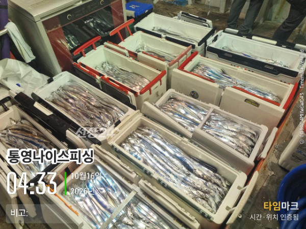 20261016_043346_글꼴-통영나이스피싱.jpg
