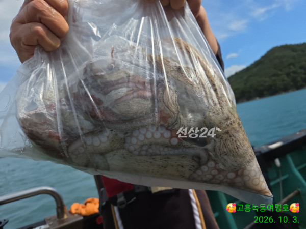 쎄븐피싱클럽(선상 버스출조전문)_사진_20261003_5.jpg