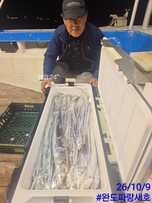 완도파랑새호(블루버드)_사진_20261009_2.jpg