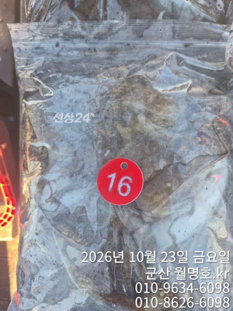 20281.jpg